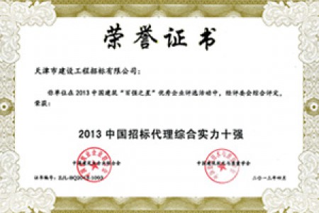 招標(biāo)代理綜合實力十強(qiáng)2013